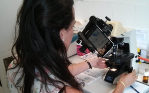 Digitalización de muestras de tuberculosis con un móvil acoplado a un microscopio.